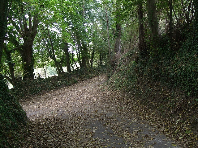 futur trail 065.jpg